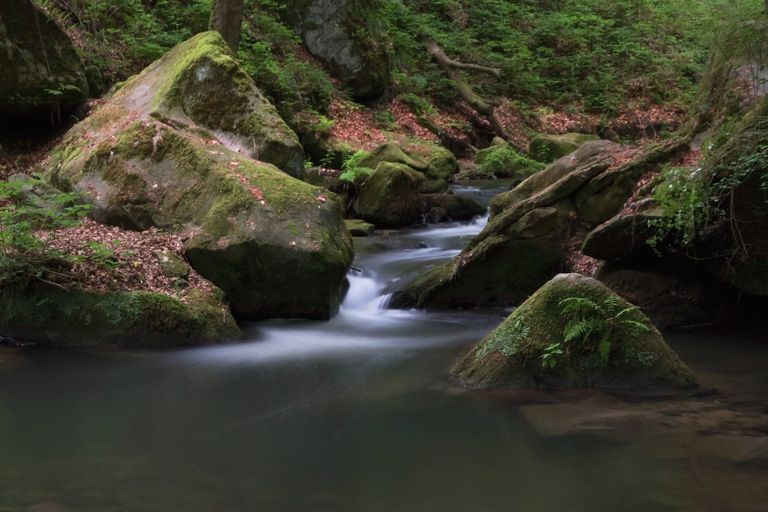 Hallerbach bei Berdorf